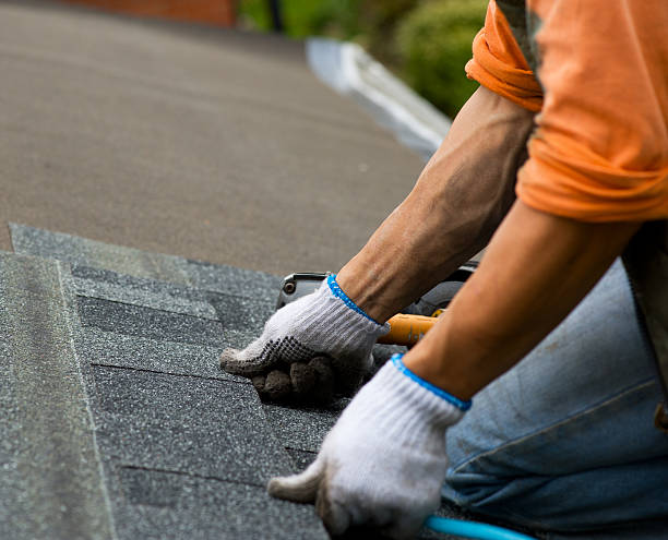 Best Roof Gutter Cleaning  in Scottsburg, IN